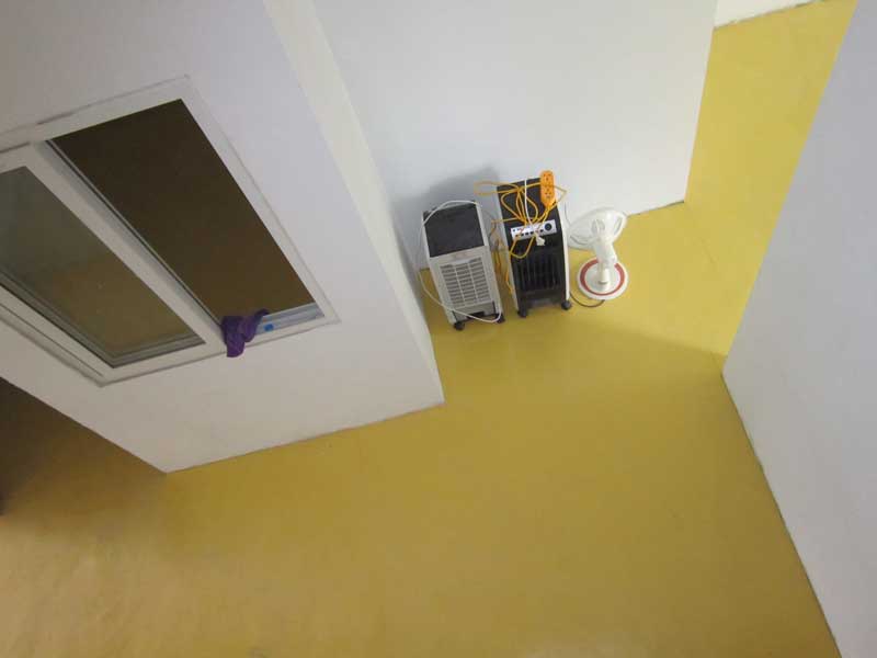 pvc91免费视频下载的發展進程