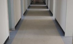 最高檢辦公室91免费视频下载