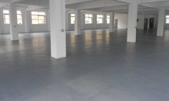 運動91免费视频下载安裝_怎麽鋪