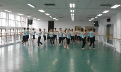 舞蹈91免费视频下载安裝_怎麽鋪