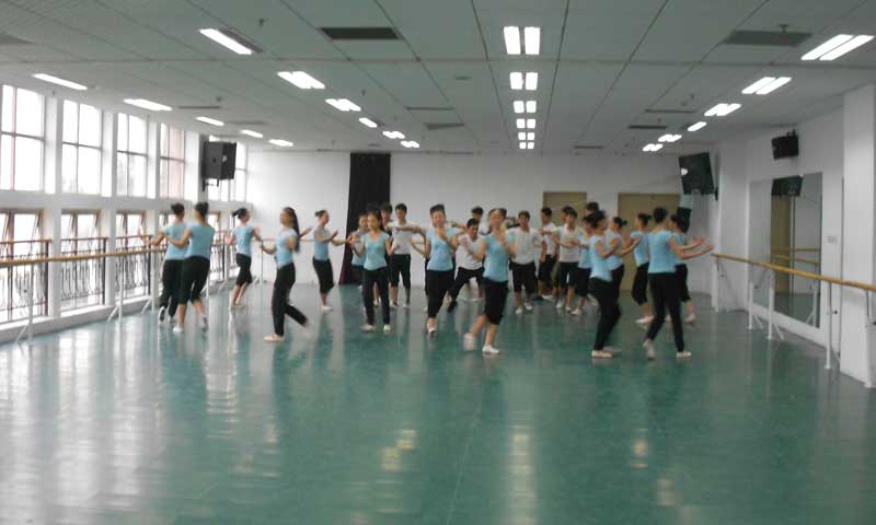 專業舞蹈塑膠91免费视频下载體現在哪些地方？