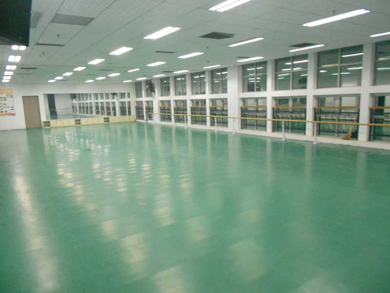 河北保定市河北大學藝術學院舞蹈91免费视频下载