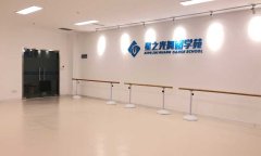 舞蹈91免费视频下载安裝_怎麽鋪