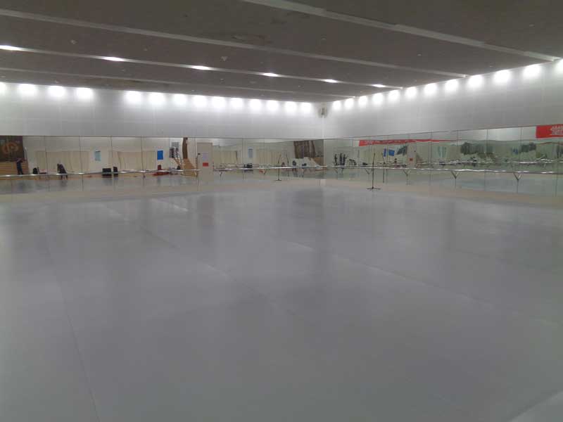 專業舞蹈塑膠91免费视频下载體現在哪些地方？