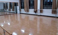 舞蹈91免费视频下载多少錢一平方米