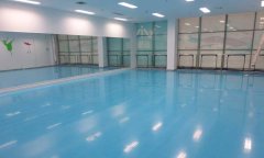 舞蹈91免费视频下载多少錢一平方米