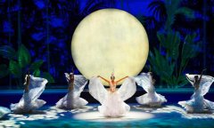 北京國家大劇院舞台91免费视频下载