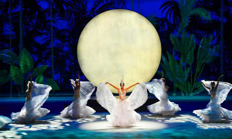 舞台91免费视频下载案例列表