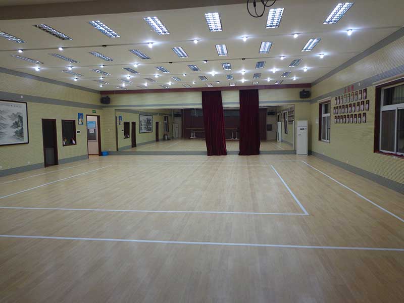 北京海澱區羊坊店中心小學運動91免费视频下载