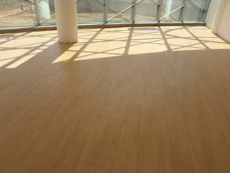 內蒙古鄂托克前旗運動91免费视频下载