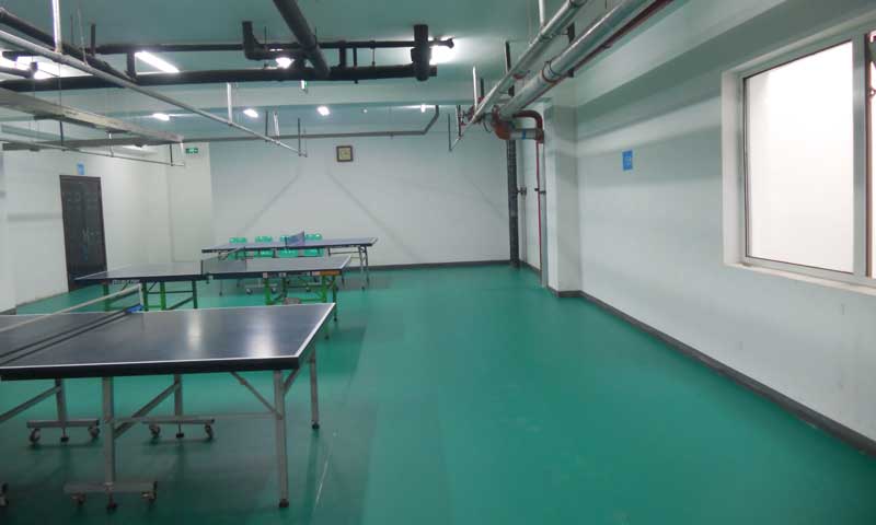 使用乒乓球運動91免费视频下载有哪些好處？