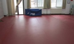 北京海澱北京師範大學乒乓球pvc91免费视频下载