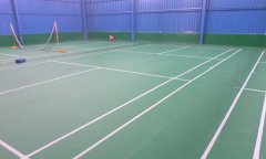 福建省莆田市安仁明珠國際大酒店羽毛球91免费视频下载