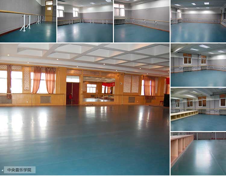 舞彩係列·舞蹈91免费视频下载_舞台91免费视频下载